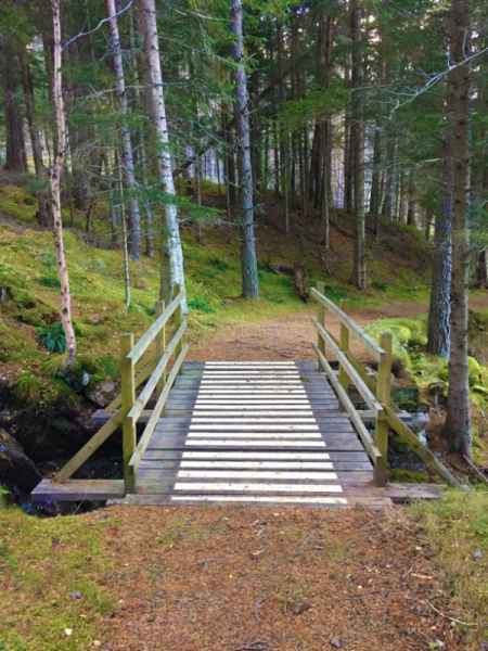 Anti Slip Decking Strips Woodland Bridge