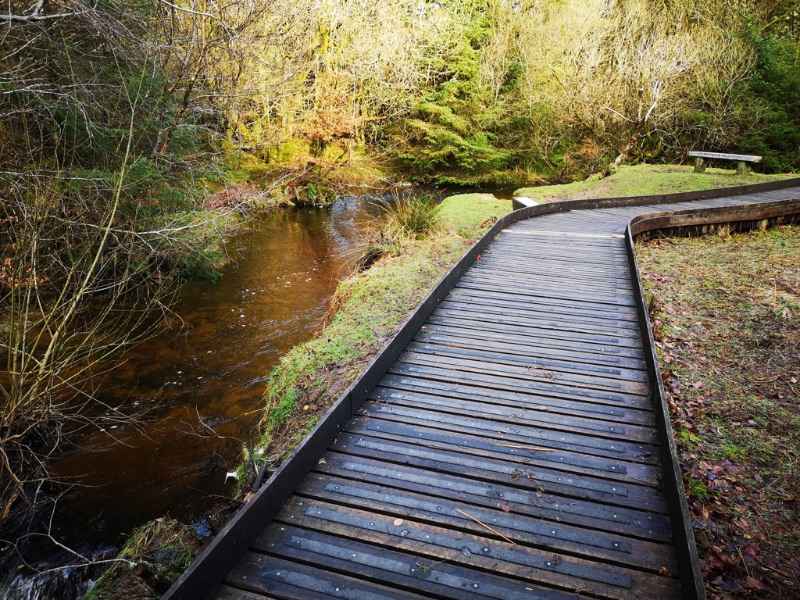 Anti Slip Decking Strips on Slippery Woodland Walkway