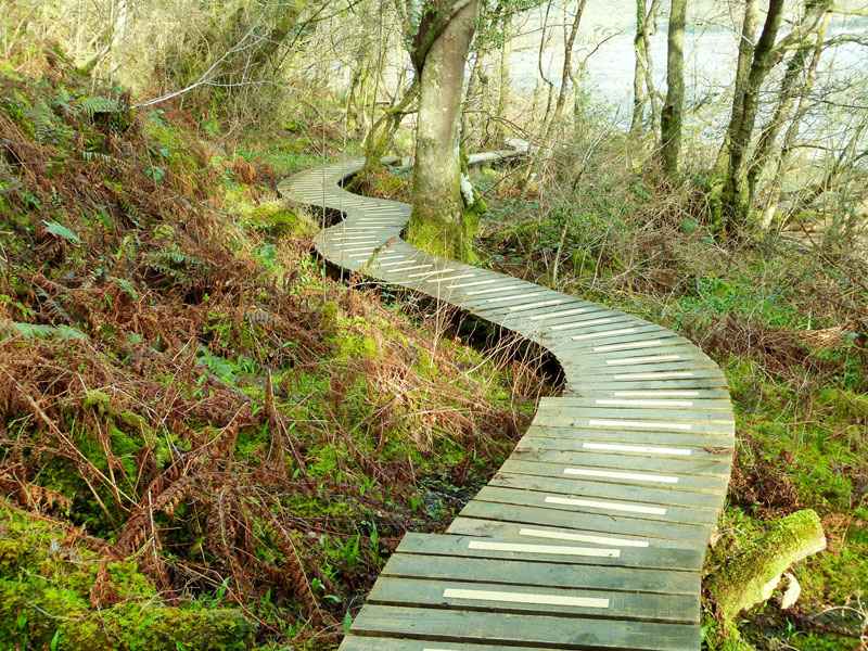 Non slip GRP decking strips used on woodland pathway