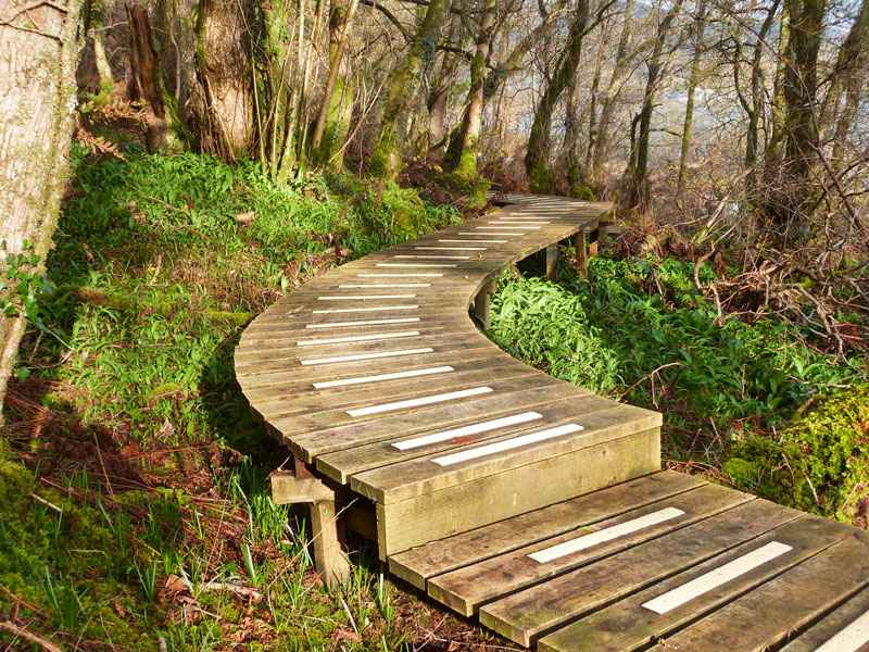 Anti Slip Decking Strips on slippery woodland decking