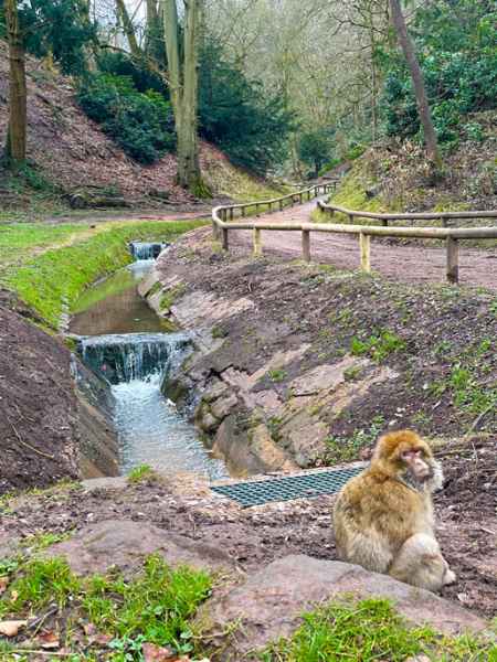 Green grating water management system