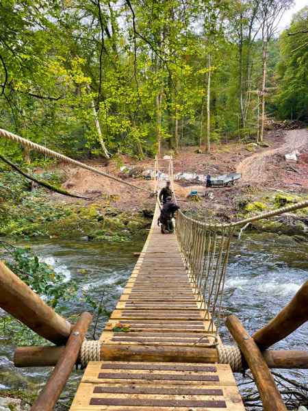 Brown 50mm decking stips on woodland rope bridge river crossing
