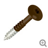 coloured top stainless steel torx head screws brown