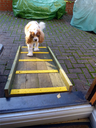 high vis non slip deck ramp for pet safe walkway