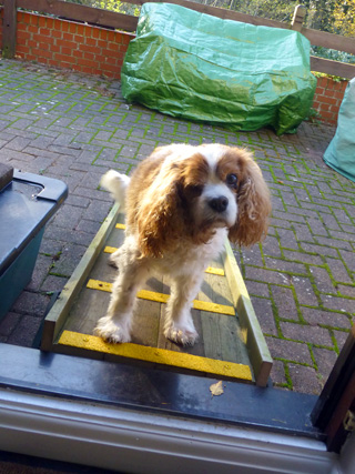 Pet safe! High vis, anti slip strips for slippery ramp.