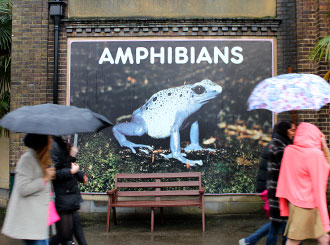 2. The world-renowned ZSL London Zoo Reptile House, zookeeper and animal safety is priority.