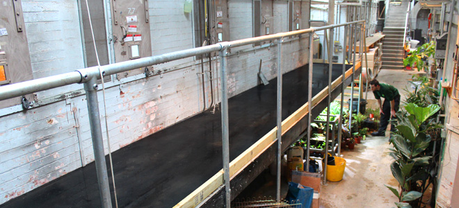 Anti-slip floor sheets and stair nosing installed at London Zoo reptile house.