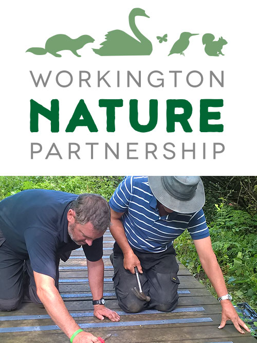 The Project is supported by the Friends of Harrington Nature Reserve group.