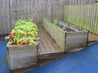 Before: algae or moss makes wooden decking slippery.