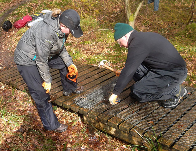 Safe Tread black non-slip decking strips. These were retro-fitted to an existing boardwalk to replace chickenwire...