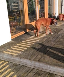 Anti-slip decking strips - pets approved!
