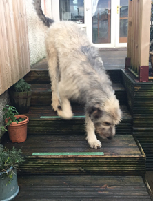 Non-slip decking strips door steps, pets happy.